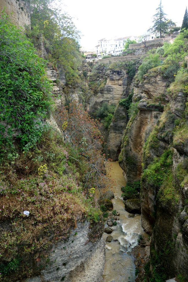 ビエホ橋から見るタホ渓谷。<br />グアダレビン川に浸食されてこの渓谷美が生まれたんだ〜。