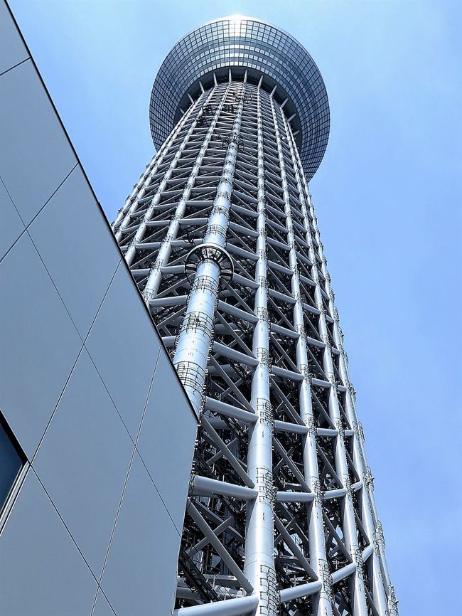 Amazon.com: Bandai Tokyo Sky Tree (Plastic Model) 1/2400