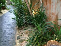 夕食は、近くの「読谷物語」。
事前に予約しています。