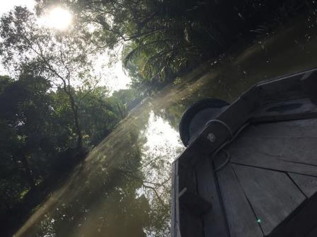 帰りは、ジャングルのような水路を経由して帰ります。