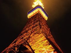 22:45発のバスに乗るために、10分前までに 東京タワーのフードコート集合です。
東京タワーはレストランやおみやげ屋さん等夜遅くまで開いてますが、人がいないのでさみしい。

時間になると、ピンクのベストを着たお姉さんが案内に来てくれます。