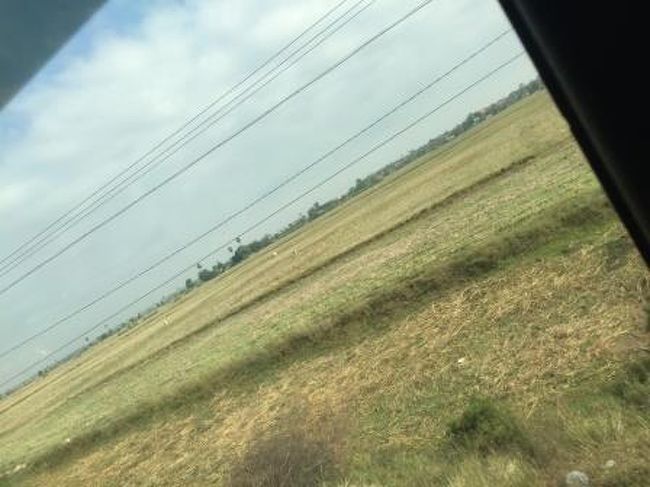 バスから見る風景。シェムリアップの町を出るとこういう草原地帯が延々と続きます。