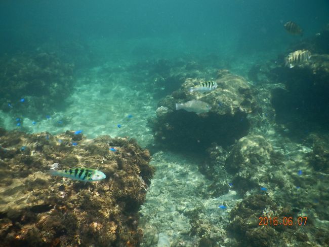 透明度がちょと？？？<br />