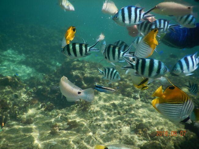 パンくずをちょっとだけ・・・・(^_^;)