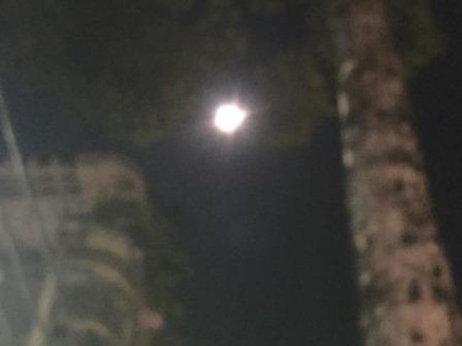 旅の序盤では欠けていた月もほぼ満月に。<br />さあ、タイムリミットになりましたので、荷物をまとめて空港に行きます。