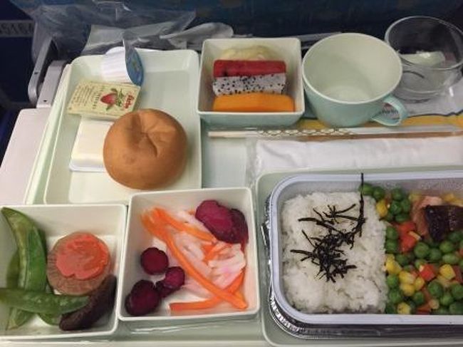 1月24日(15日目）<br />機内食です。朝には無事に<br />大阪の関西空港に到着。<br /><br />2週間の旅路に終止符を打ちました。