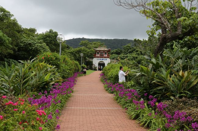 南国だから雨は<br />スコール