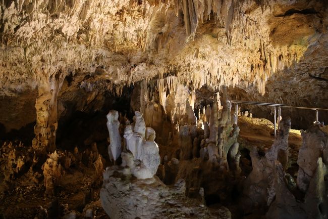 良かったんじゃ