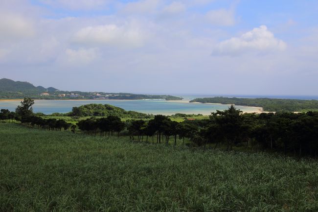 少し離れても<br />いい感じ