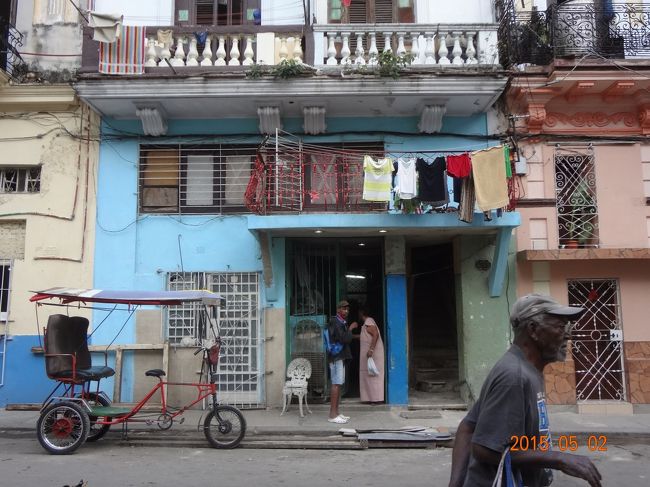 オハヨーって　挨拶してるみたい