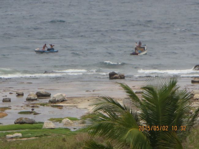 小エビとか魚　捕っているのかな