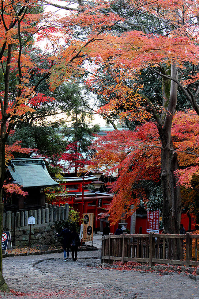 犬山城で紅葉 そして 食に走る 犬山 愛知県 の旅行記 ブログ By バニバニさん フォートラベル 犬山城で紅葉 そして 食に走る 犬山 愛知県 の旅行記 ブログ By バニバニさん フォートラベル