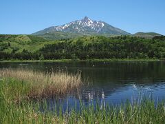 5時方向にあるオタトマリ沼へ。

ここでも、風があって逆さ富士は見られず。

この時期、カモメやウミネコが水遊びしている光景が見られる。
海水の塩で重くなった翼を洗い流しているそう。