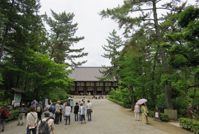 2016梅雨、奈良の世界遺産(2/9):薬師寺(2):六角堂、サツキ展 2016梅雨、奈良の世界遺産(2/9):薬師寺(2):六角堂、サツキ展