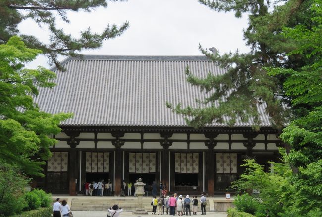 薬師寺 (奈良六大寺大観) 奈良六大寺大観 第6巻 | 奈良六大寺大観刊行会 |本 | 通販 | Amazon