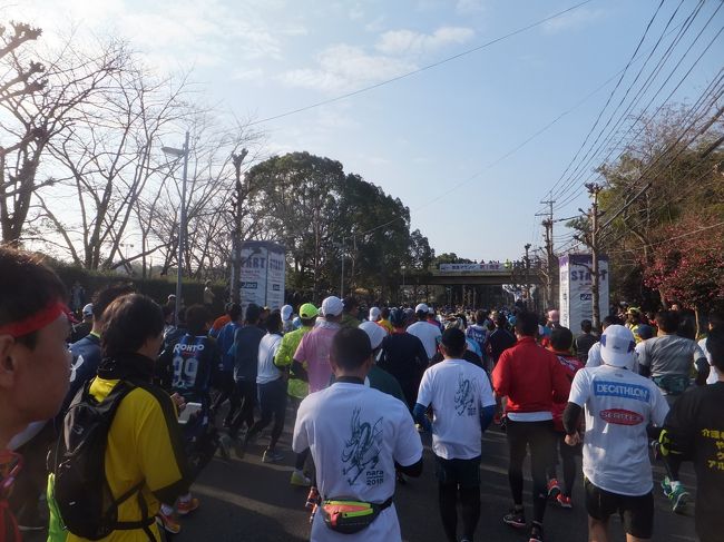 いよいよスタートです。