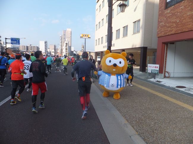 ポンタがいました。ローソンのお店も応援です。