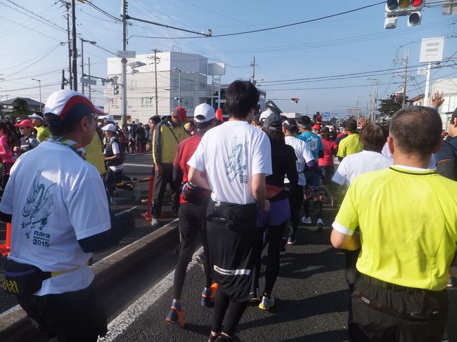 ここで折り返し。