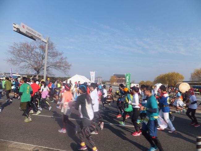 復路も平城宮跡をパチリ。