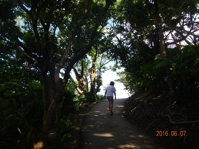 木立を抜けて行くと・・・