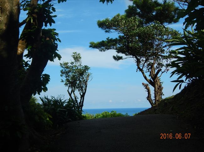 空・海・樹の絶妙なバランス。
