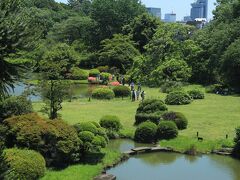 小石川植物園から東京大学総合研究博物館小石川分館へ
２階から眺めた小石川植物園