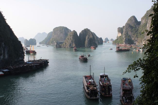途中上陸したダウゴー島からの眺め