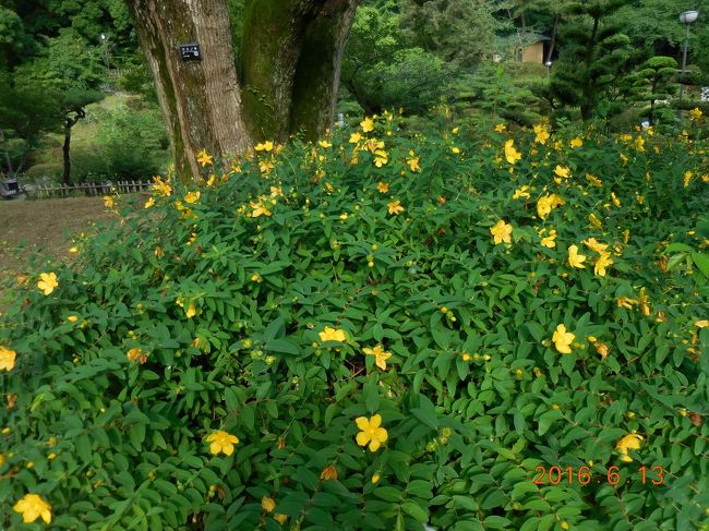 とてもきれいに整備されています。