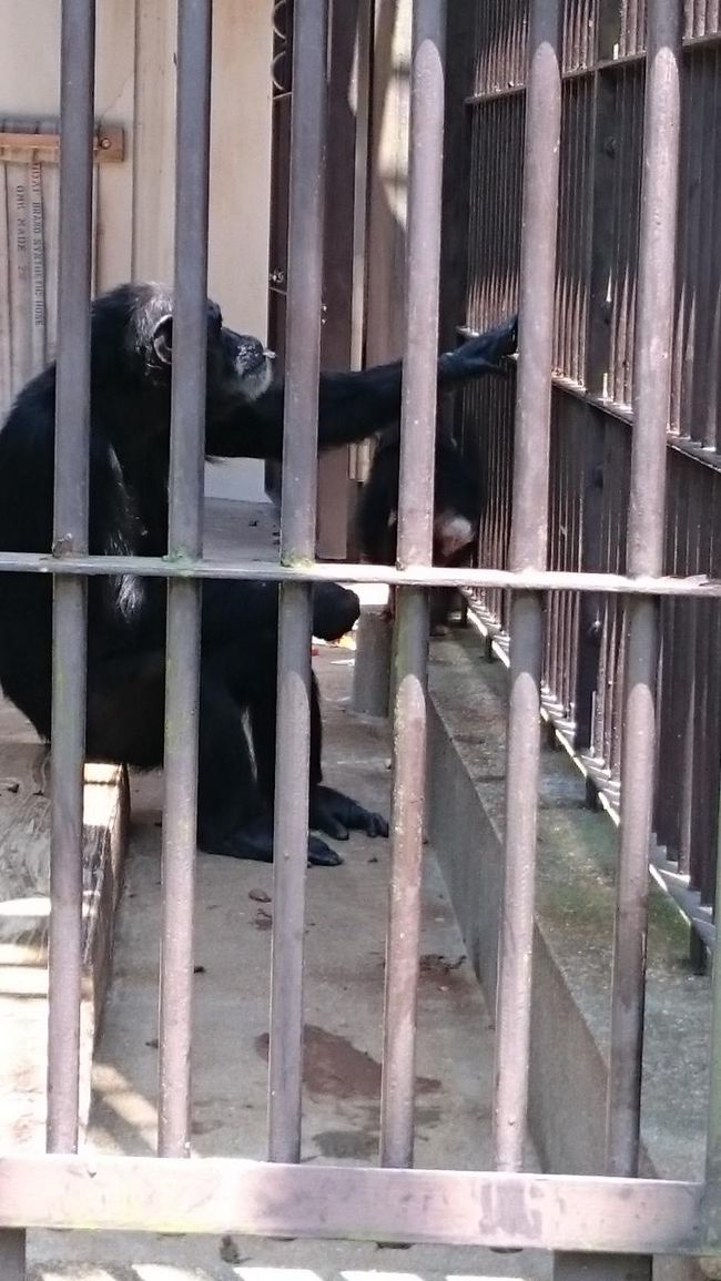 動物園満喫できました。<br />また、バスと電車乗り継いで帰ります。