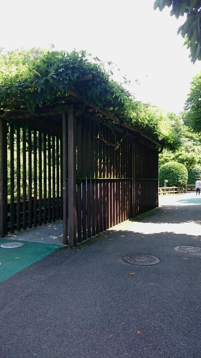 <br />バスを降りて、正面玄関まで、お楽しみがあります。<br />運ばれてきたぞうのおりや、動物の足跡が体験できたり、<br />ワクワク体験しながら、進めます。