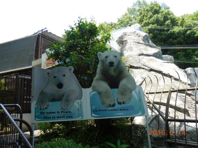 ママとピースはお隣