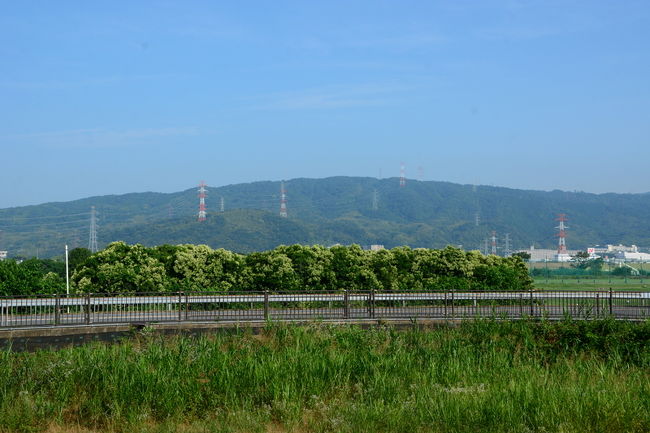 樟葉駅からの風景　7時32分<br />暑い一日になりそうです