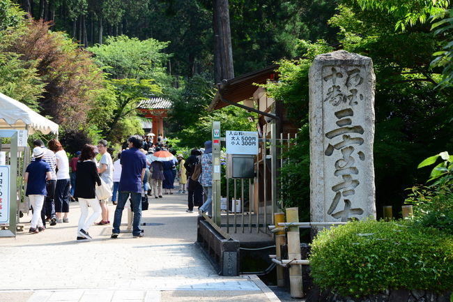 人混みと暑さと闘いながら撮影が始まります