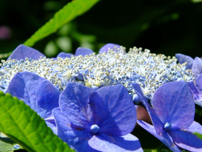 陽射しが強いので白飛びが発生しやすくなりますので<br />補正で少し暗めにして撮影