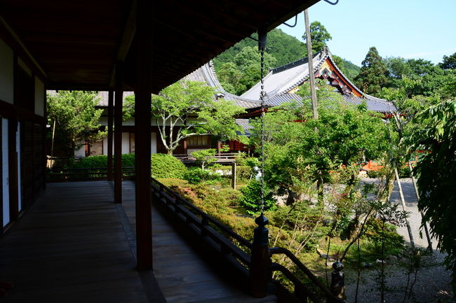 宸殿の襖絵などを見ながらのんびり