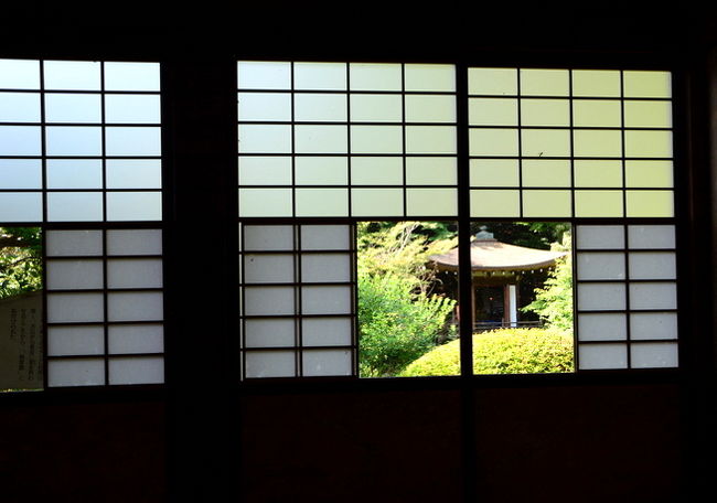 梅の間からの観音堂