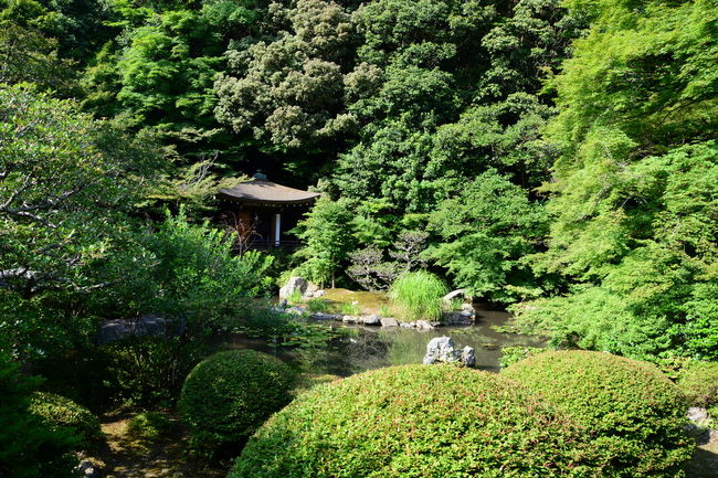 毘沙門堂庭園　晩翠園<br />後ろが雑木林なのでいろいろな緑を楽しむことができます