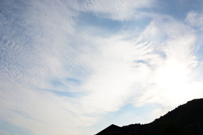 これからどうしようかと考えたあげく<br />友人が今出川に行きたいとのことで<br />私は京都御苑に行って久しぶりにアオバズクでも撮影しようかな！