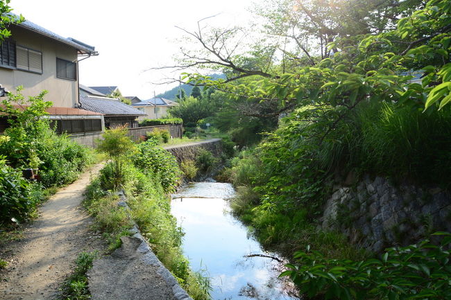 帰りは琵琶湖疎水ぞいに少し歩き山科駅に北側から入る道を通りました