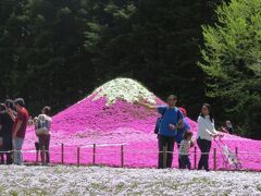 富士芝桜まつり会場になんとか着くことが出来ました。
芝桜は見頃を迎えてました。