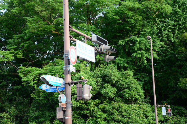 烏丸今出川に到着<br />ここで友人と別れて・・・