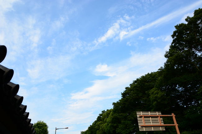 京都御苑に入る前に・・・