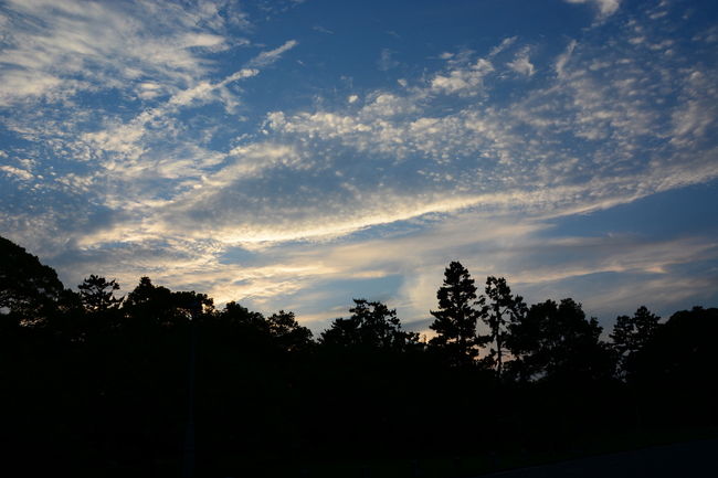 時間は18時55分　雲が綺麗ですね！