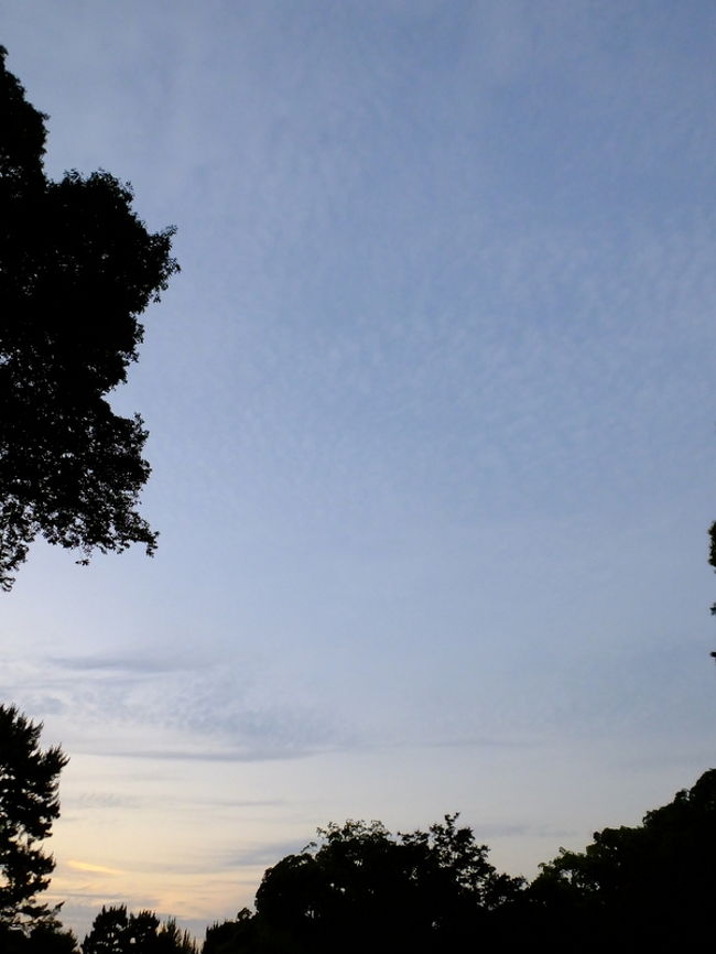 さあて帰ろーっと！