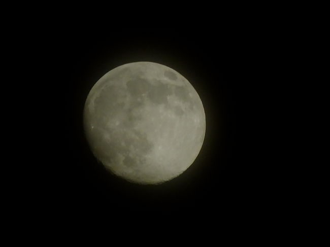 樟葉駅で霞む月を撮影して帰ってきました