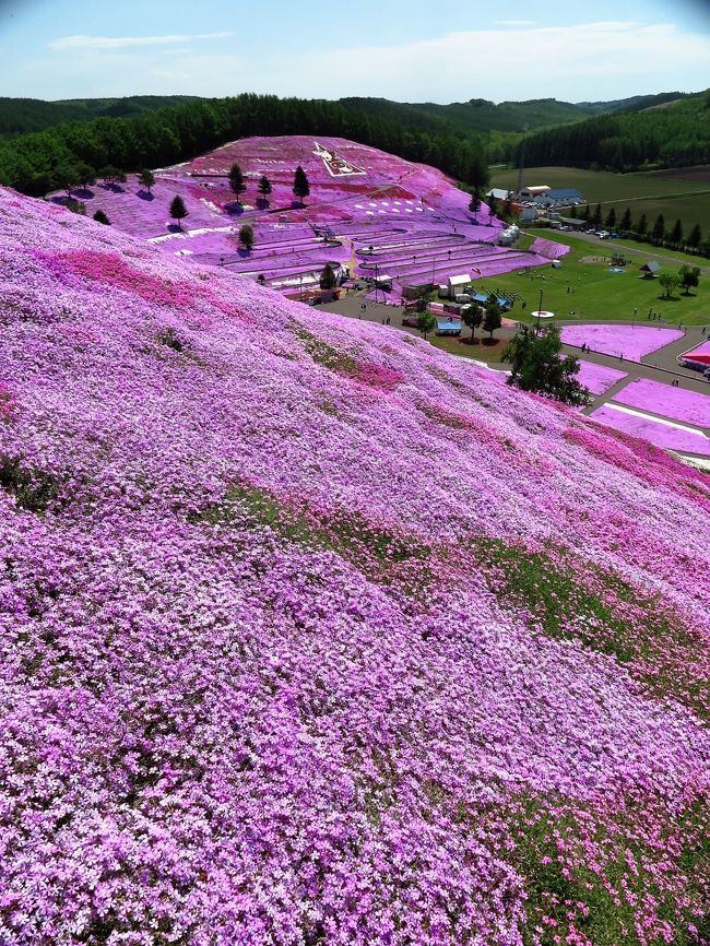 大空 2 ひがしもこと芝桜公園b 頂上に山津見神社 参拝し階段を下る 女満別 美幌 北海道 の旅行記 ブログ By マキタン２さん フォートラベル