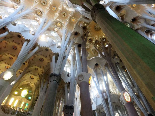 天井と柱の接合部分もユニークで美しい。