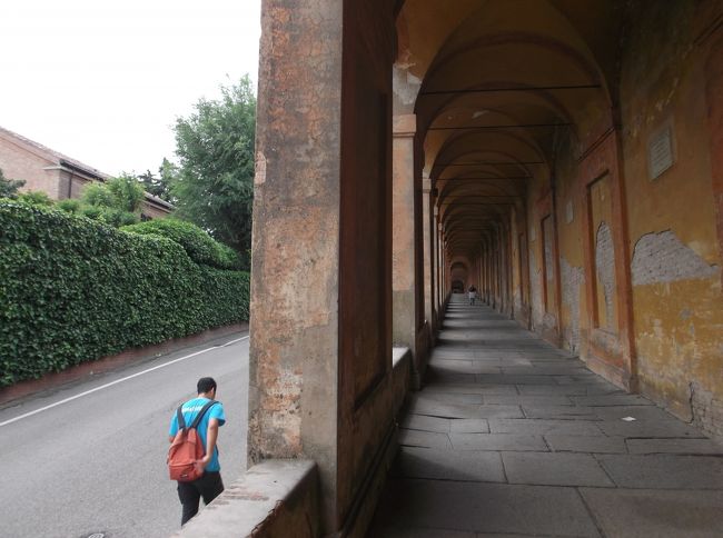 登ります。約45分、登りつづけです。帰りはこれを降りるんですね。<br />なんて思っていたら、観光バス、red　busというのがあっという間に横を通り過ぎました。ここに来るのならred busですね。