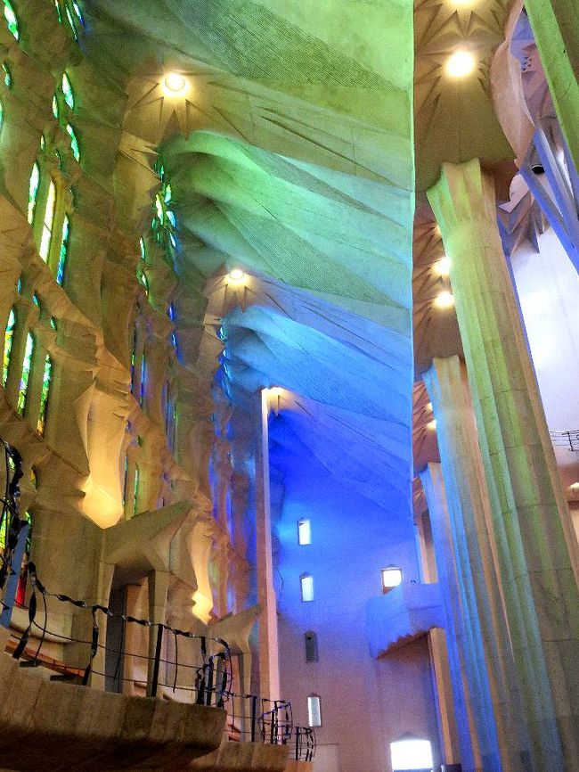 肉眼よりカメラを通した方が色が強いが、肉眼でもはっきり色が見える。