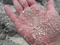 竹富島

星の砂で有名な竹富島のカイジ浜です。
この手のひらに星砂が混じっています。

きっと雨だろうと思い帽子、日焼け止めを持参せず出かけたので焼けてしまいました。
いつの間にかお天気はカンカン照りで、じりじり焼けとても暑かったです。
